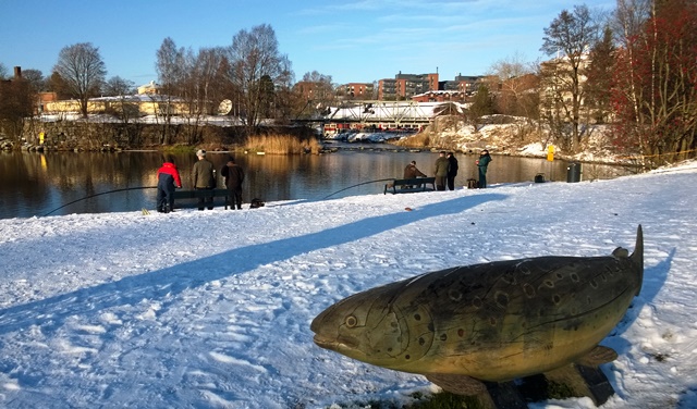 Vanhankaupunginkoski on suosittu siian tuulastuspaikka. Kuva: KivaaTekemistä.fi