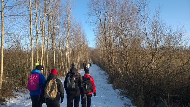 Viikin luonto on kaunis ja rauhoittava. Kuva: KivaaTekemistä.fi