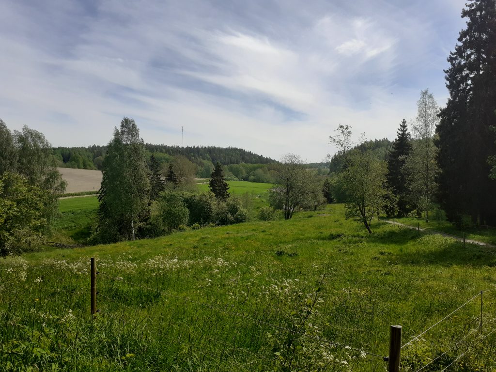 Näkymä Sipoonkorven kansallispuiston pohjoisosassa. Niittymaisema, jonka taustalla näkyy tiheää metsää.