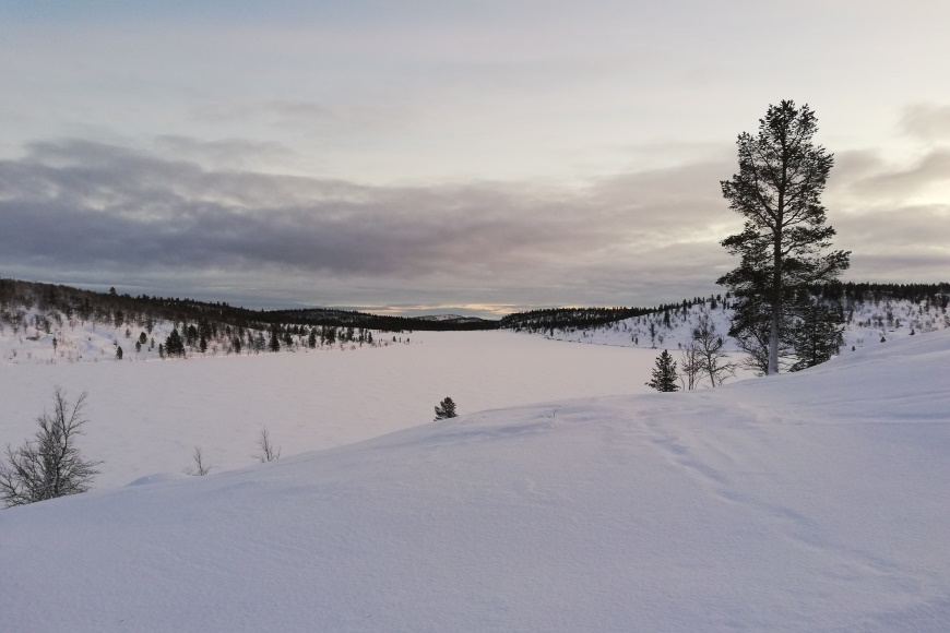 Photo: Tiina Vesterinen. Lake Tuulisjärvi