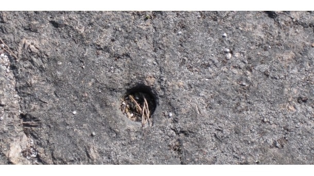 Maailmanperintökohde Struven ketju