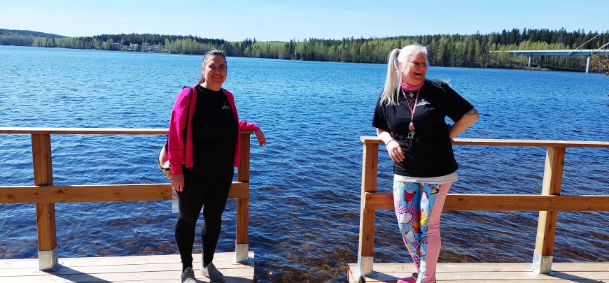 Heinolan Heinäsaari