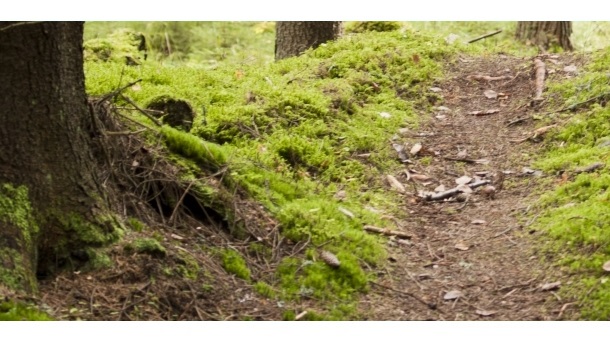 Santalahden luontopolku